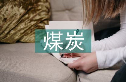 煤炭問(wèn)題調(diào)查