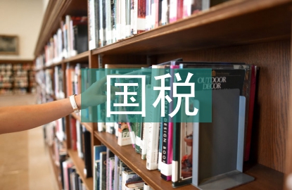 國稅工作要點(diǎn)