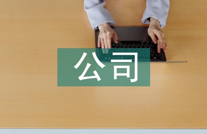 公司基本商業(yè)模式