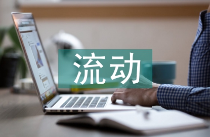 流動(dòng)資產(chǎn)管理