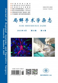 局解手術(shù)學雜志