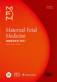 母胎醫(yī)學·英文